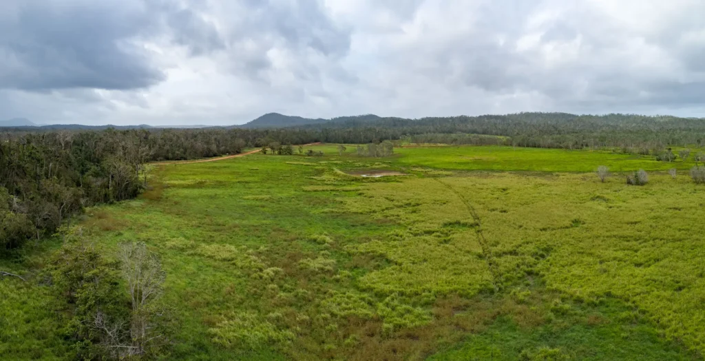 Lot 5 Rainforest Grassland Lockhart River