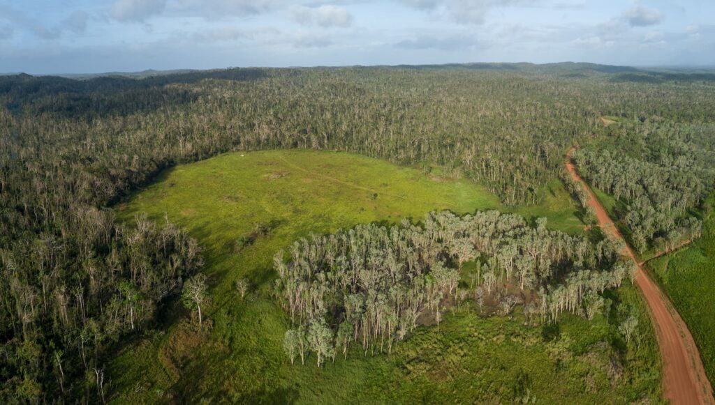 Rainforest block Lockhart River Iron Range