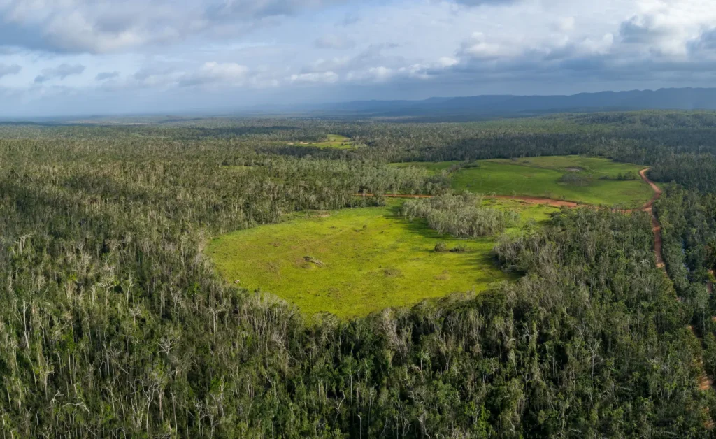 Lot 6 Rainforest grassland block