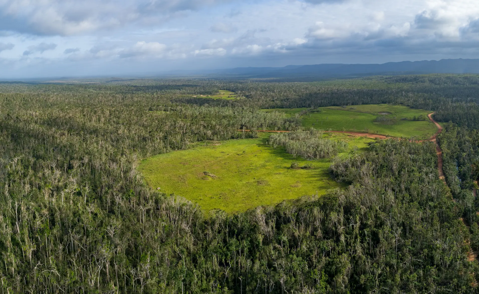 Lot 6 Rainforest grassland block