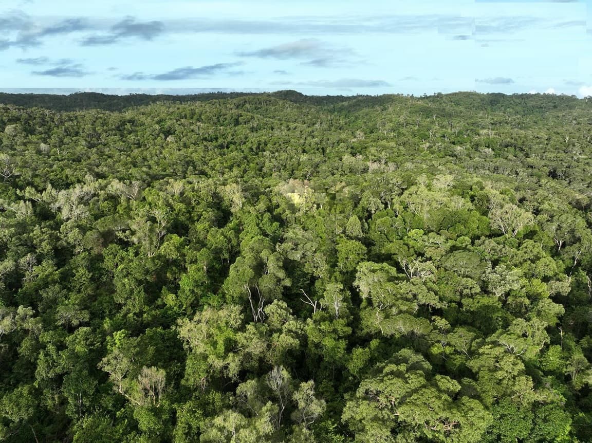 LOT 51 — RAINFOREST RIDGE LOT