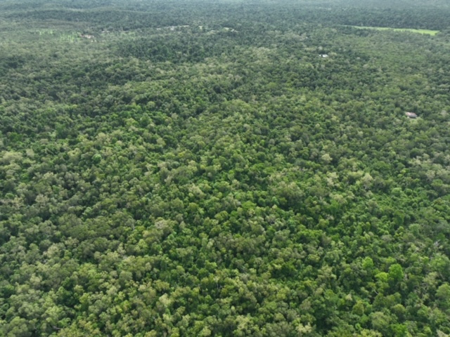 LOT 62 — RAINFOREST CREEK LOT