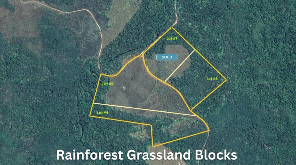 Rainforest Grasslands Blocks Lockhart River