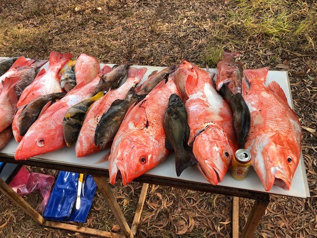 REEF FISHING